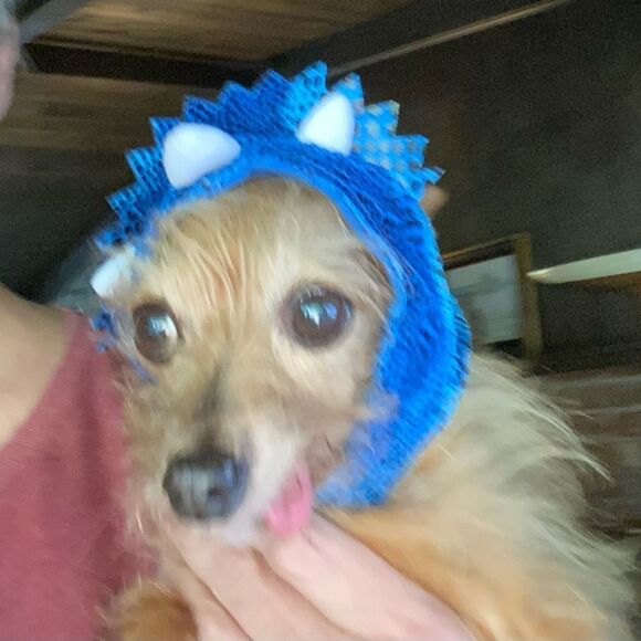Dinosaur Toy Breed Costume Hat - Picture 1 of 9